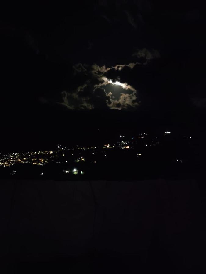 Bambu Noche De Luna